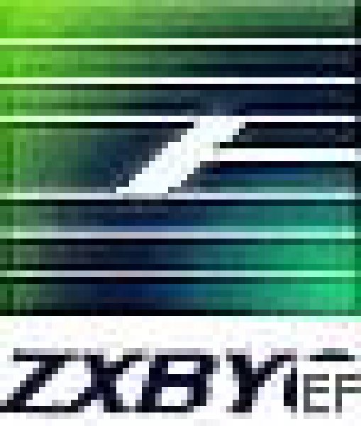 2010第四屆華中科學(xué)儀器與實驗室設(shè)備展覽會