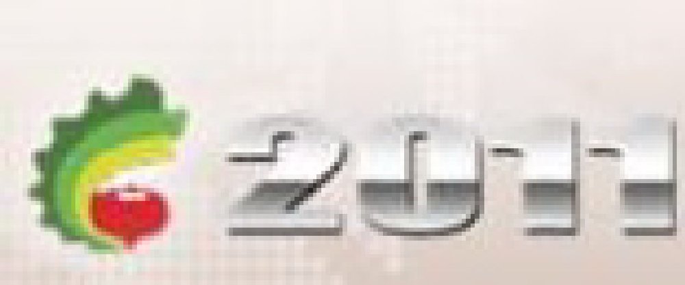 2011中國(guó)國(guó)際鑄造零部件展覽會(huì)