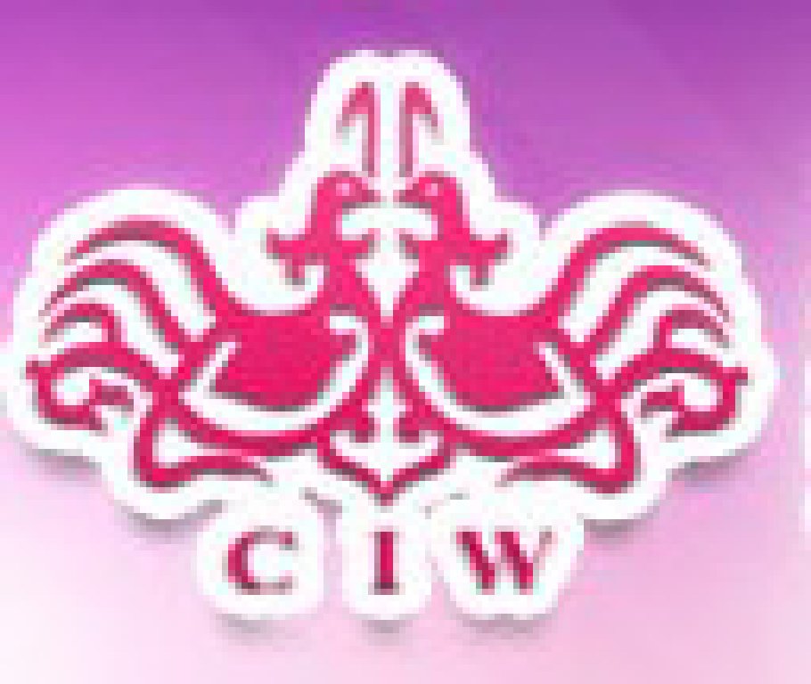 2011冬季中國(北京)婚博會