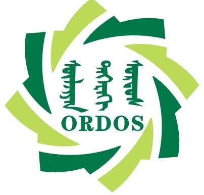 2013第八屆中國(guó)鄂爾多斯國(guó)際煤炭及能源工業(yè)博覽會(huì)